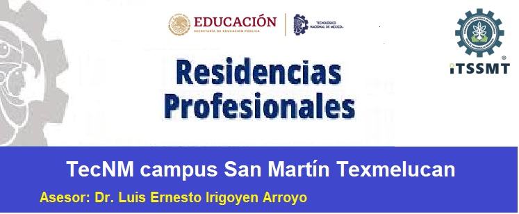 Residencias Profesionales